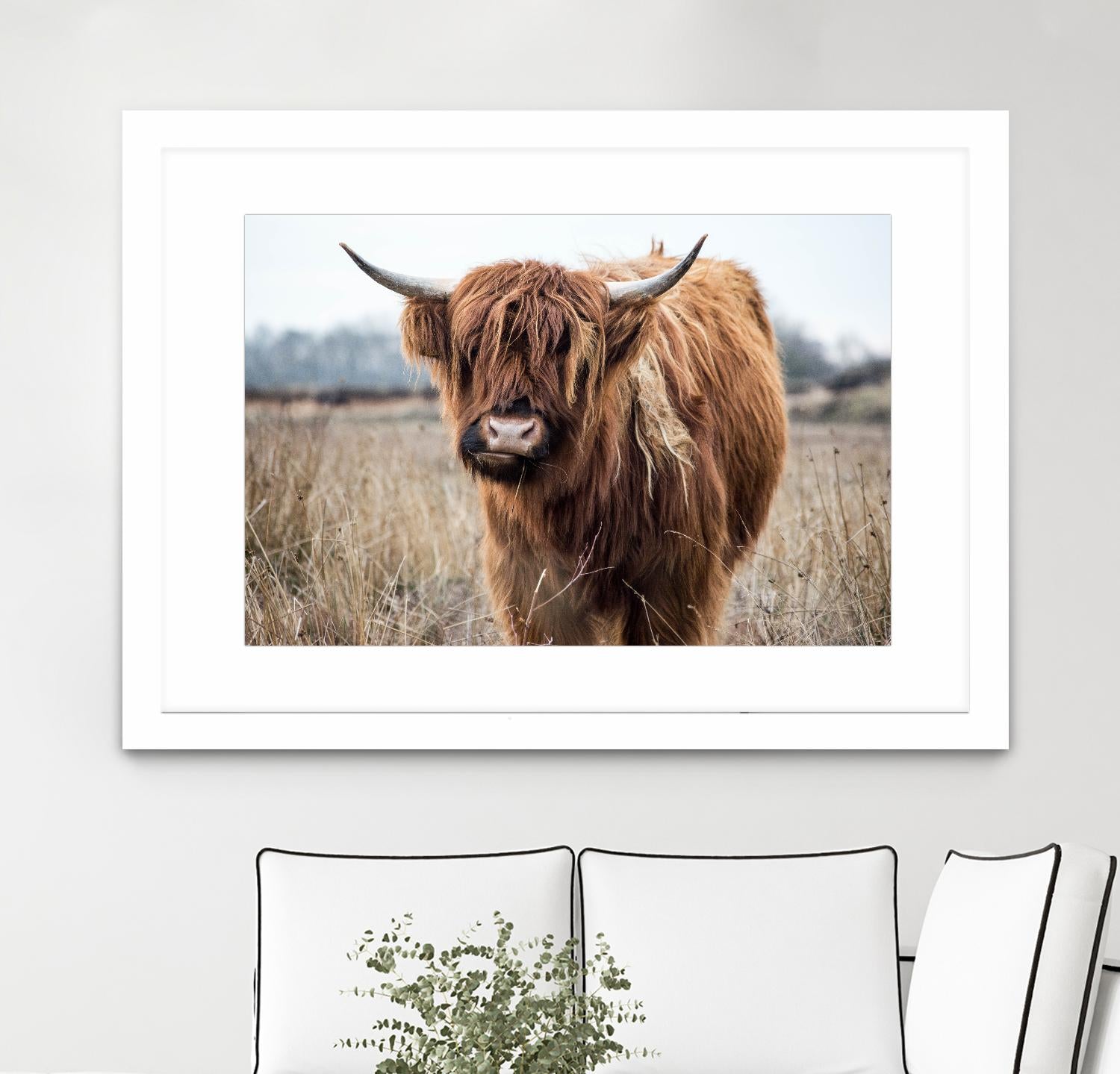 Grazing by Pexels on GIANT ART - black animals