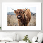 Grazing by Pexels on GIANT ART - black animals