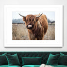 Grazing by Pexels on GIANT ART - black animals