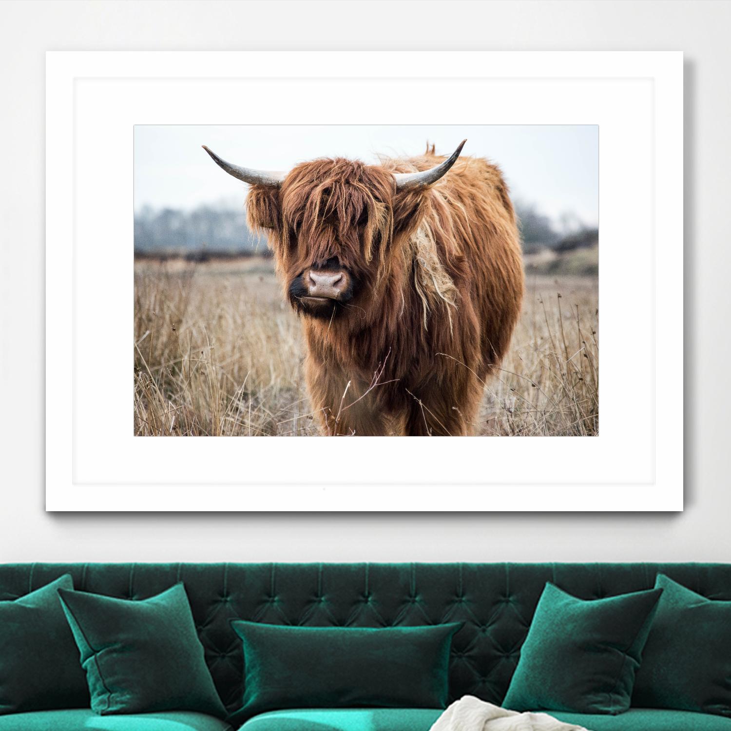 Grazing by Pexels on GIANT ART - black animals