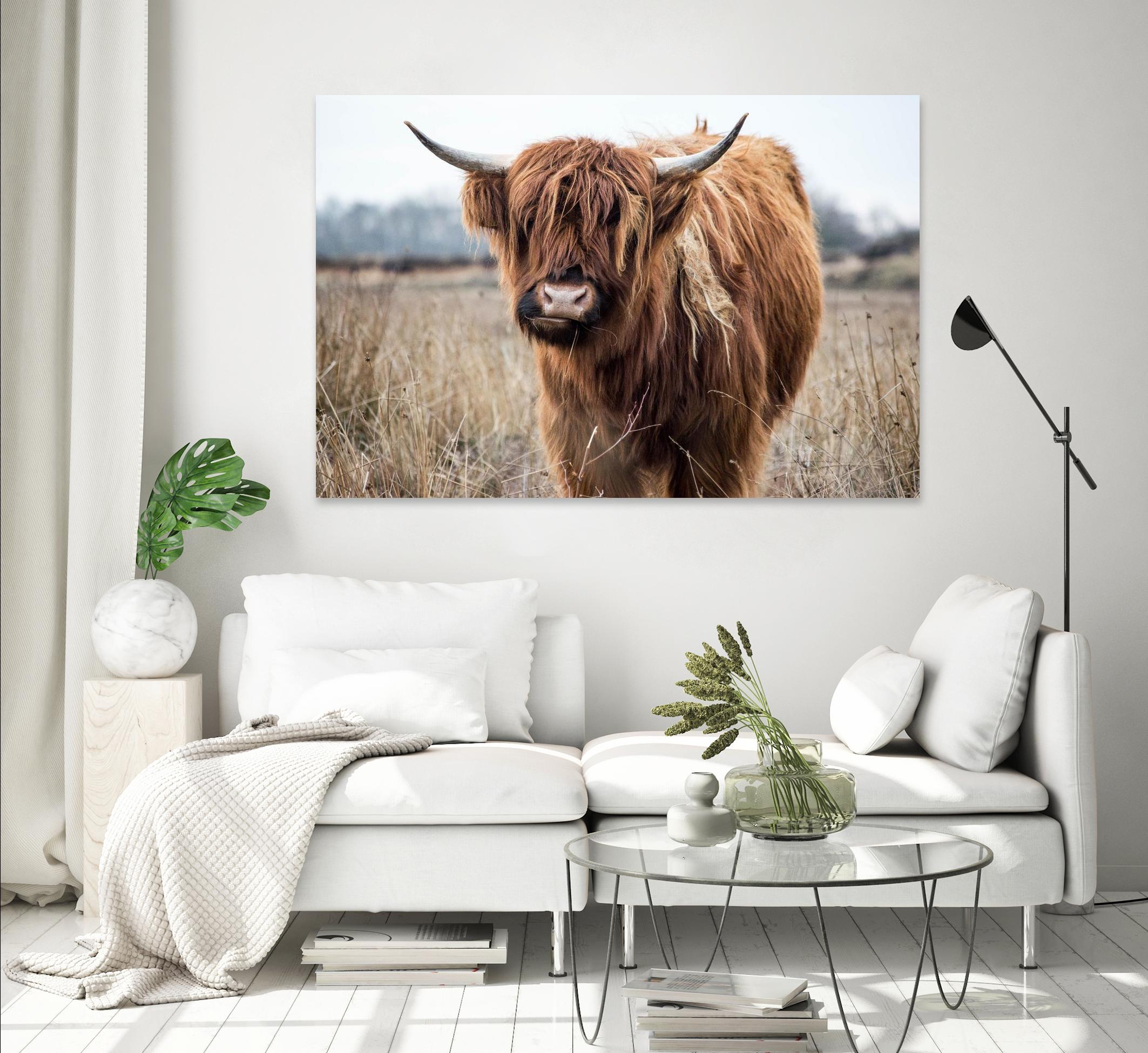 Grazing by Pexels on GIANT ART - black animals