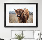 Grazing by Pexels on GIANT ART - black animals