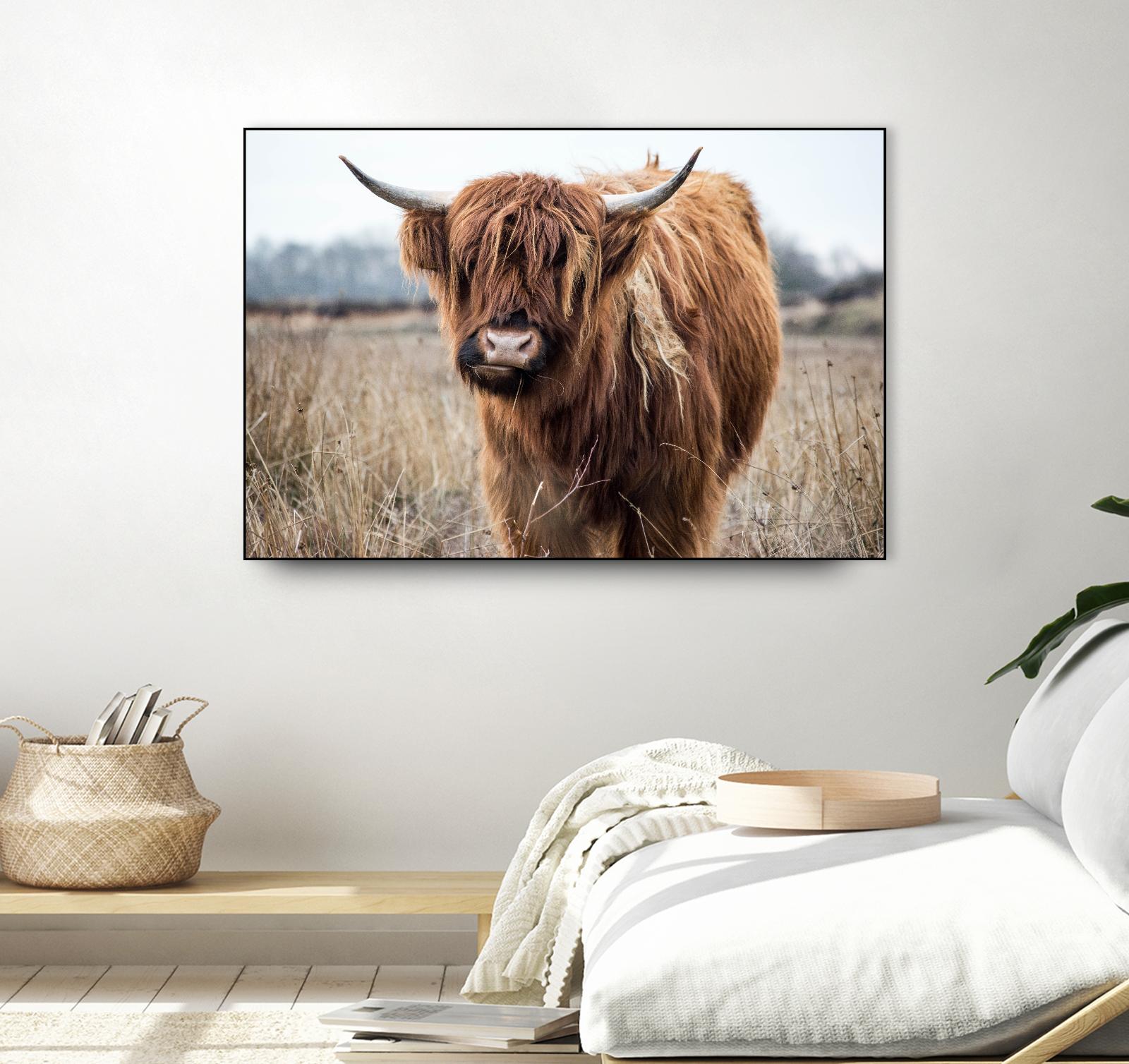 Grazing by Pexels on GIANT ART - black animals