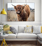 Grazing by Pexels on GIANT ART - black animals