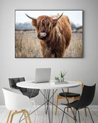 Grazing by Pexels on GIANT ART - black animals