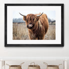 Grazing by Pexels on GIANT ART - black animals