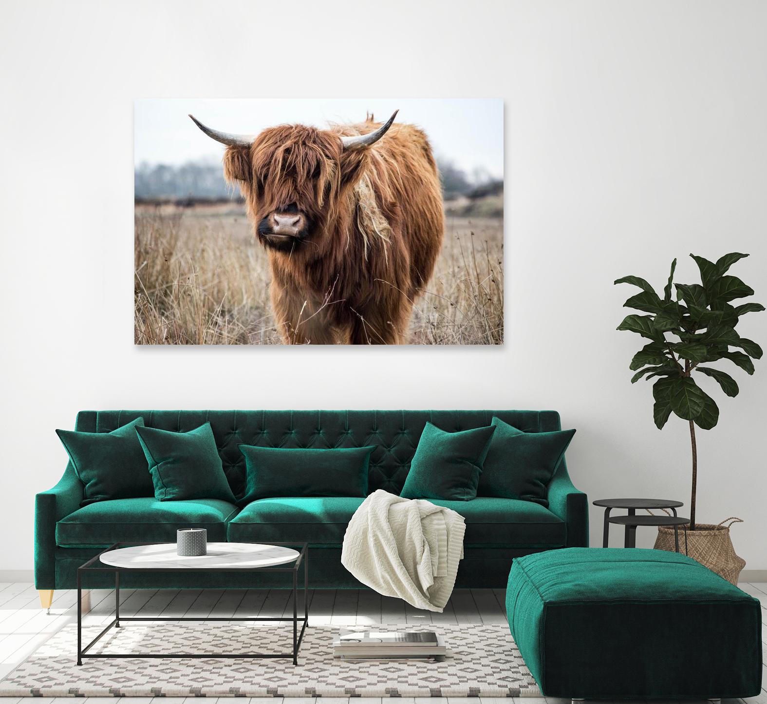 Grazing by Pexels on GIANT ART - black animals