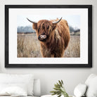 Grazing by Pexels on GIANT ART - black animals