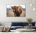 Grazing by Pexels on GIANT ART - black animals