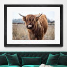 Grazing by Pexels on GIANT ART - black animals