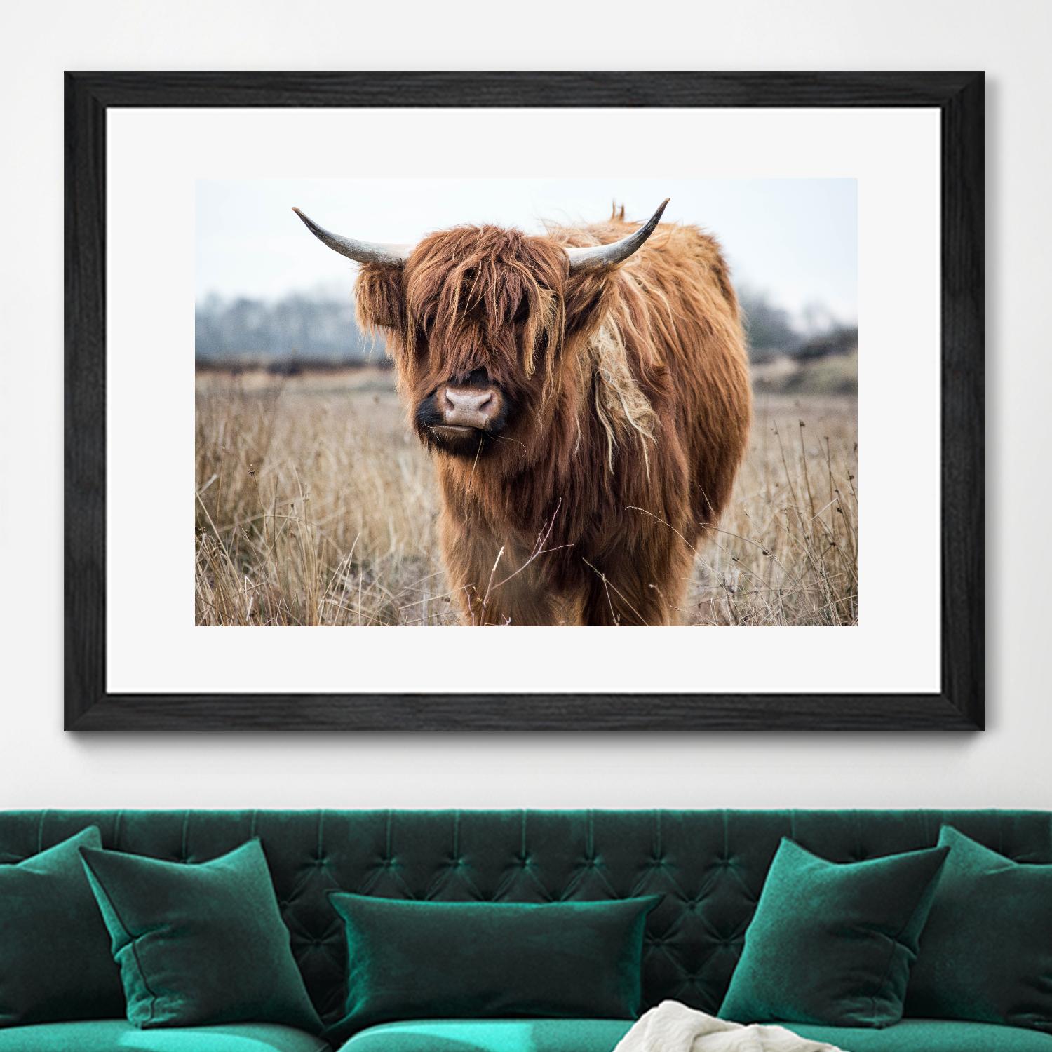 Grazing by Pexels on GIANT ART - black animals