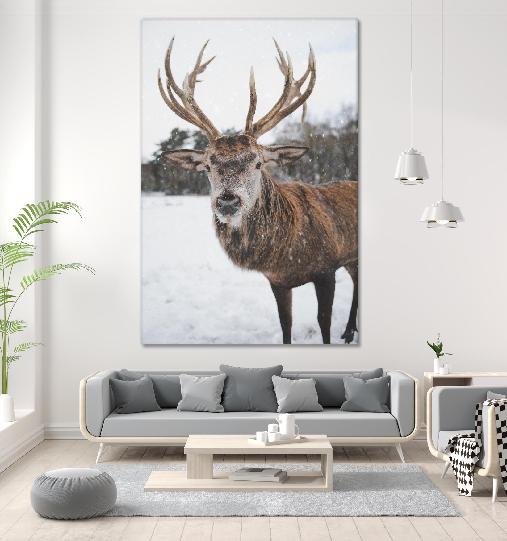Deer by Pexels on GIANT ART - white animals
