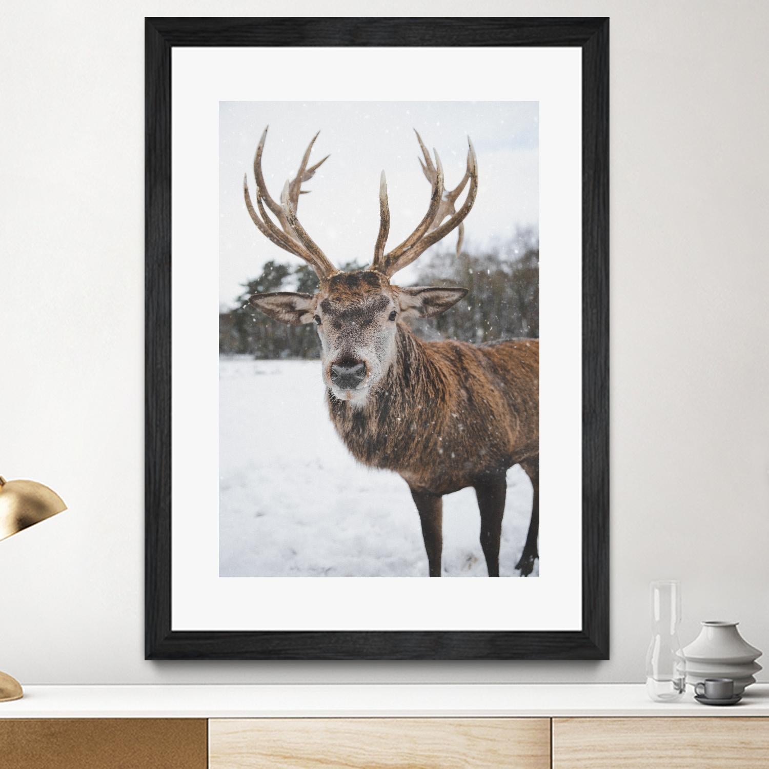 Deer by Pexels on GIANT ART - white animals