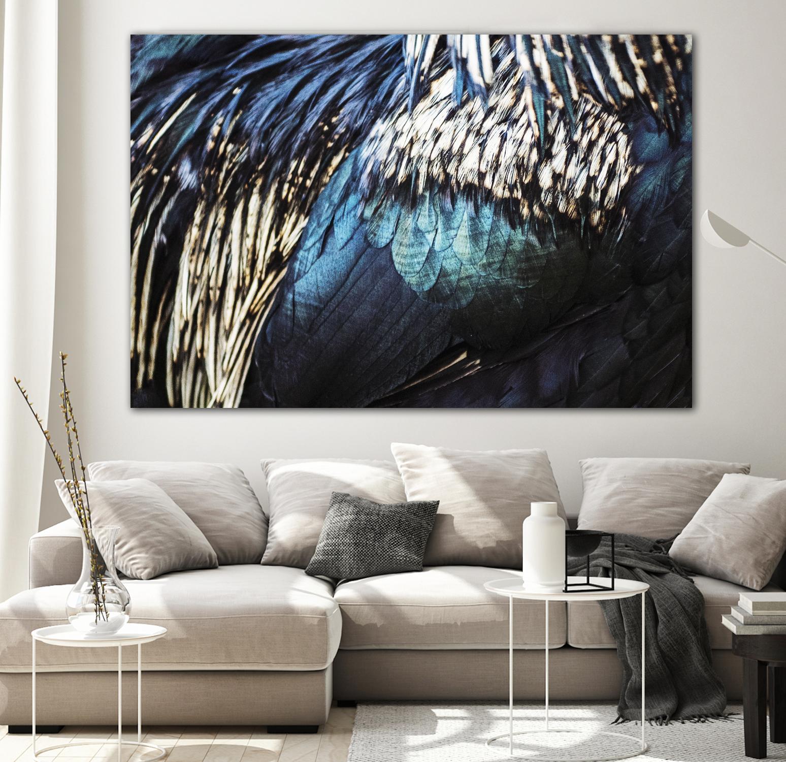 Blue feathers by Pexels on GIANT ART - white animals