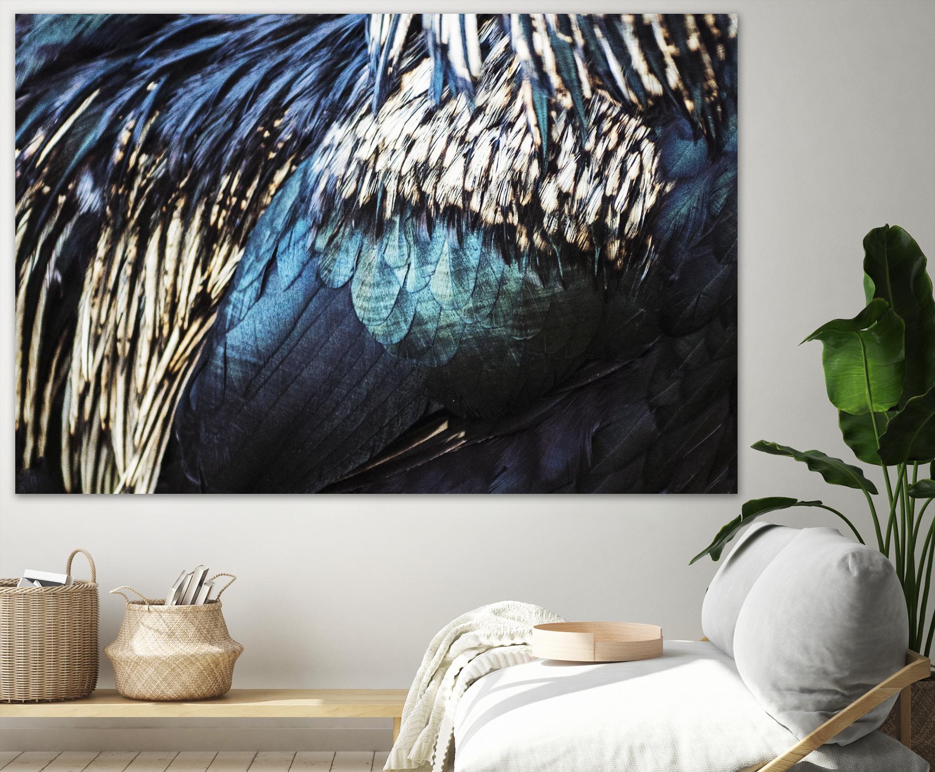 Blue feathers by Pexels on GIANT ART - white animals