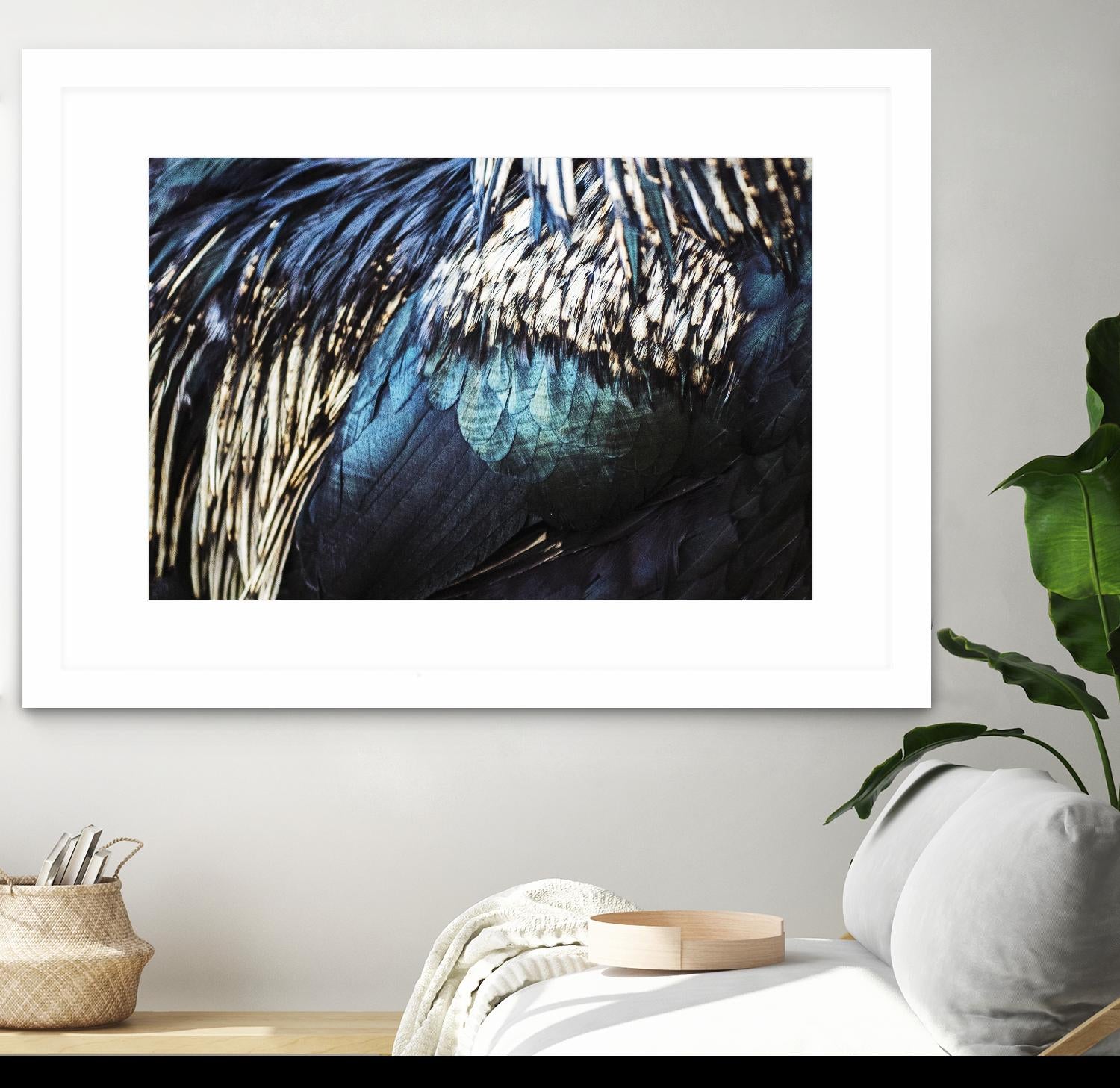 Blue feathers by Pexels on GIANT ART - white animals