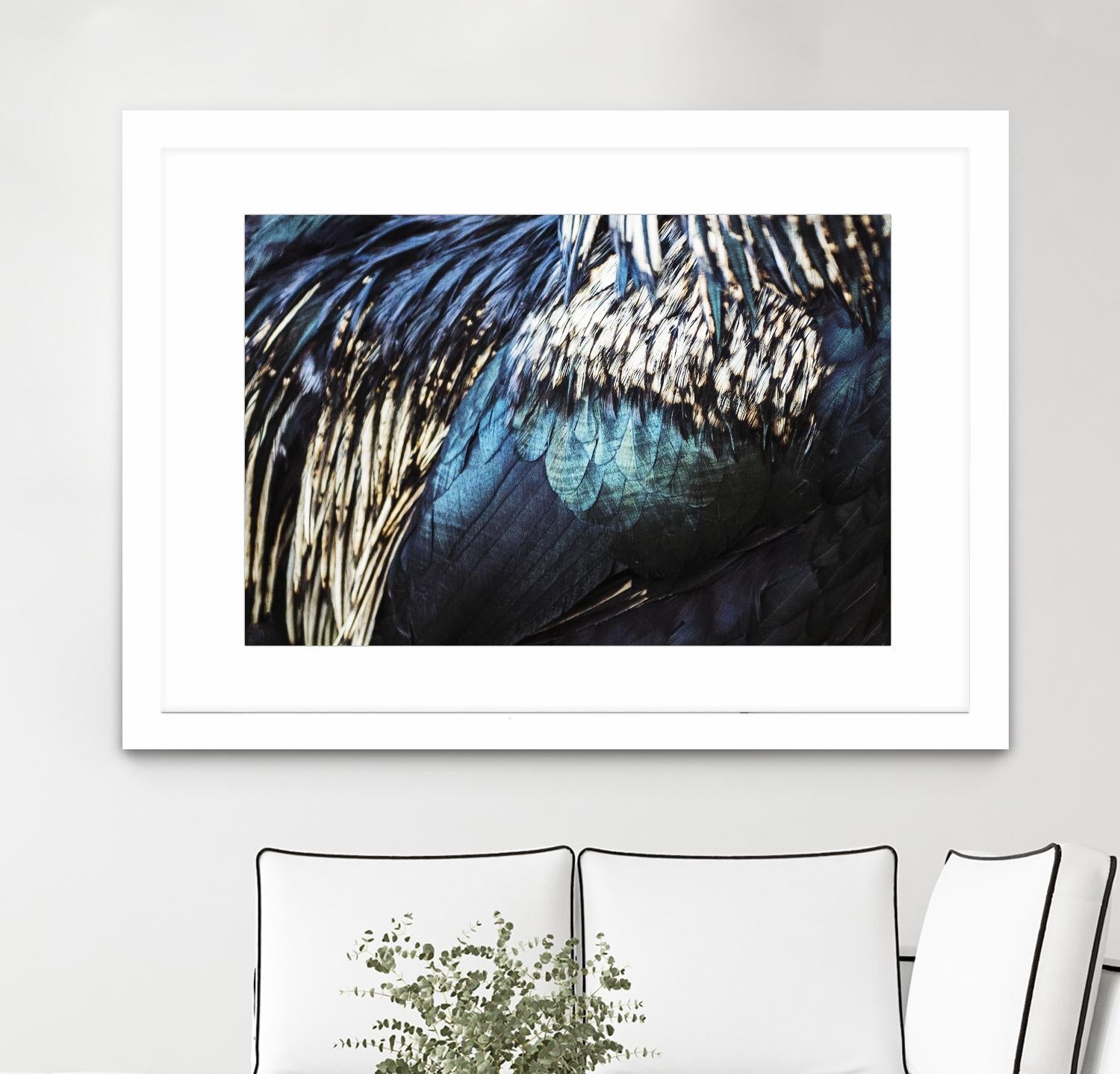 Blue feathers by Pexels on GIANT ART - white animals