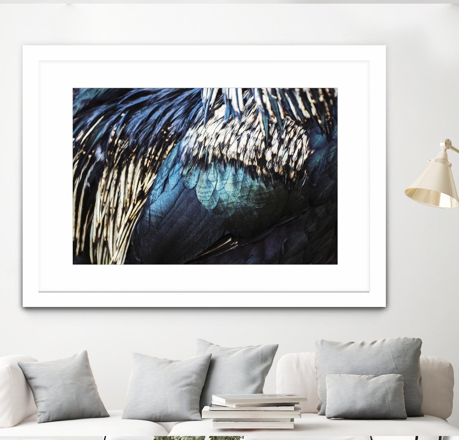 Blue feathers by Pexels on GIANT ART - white animals