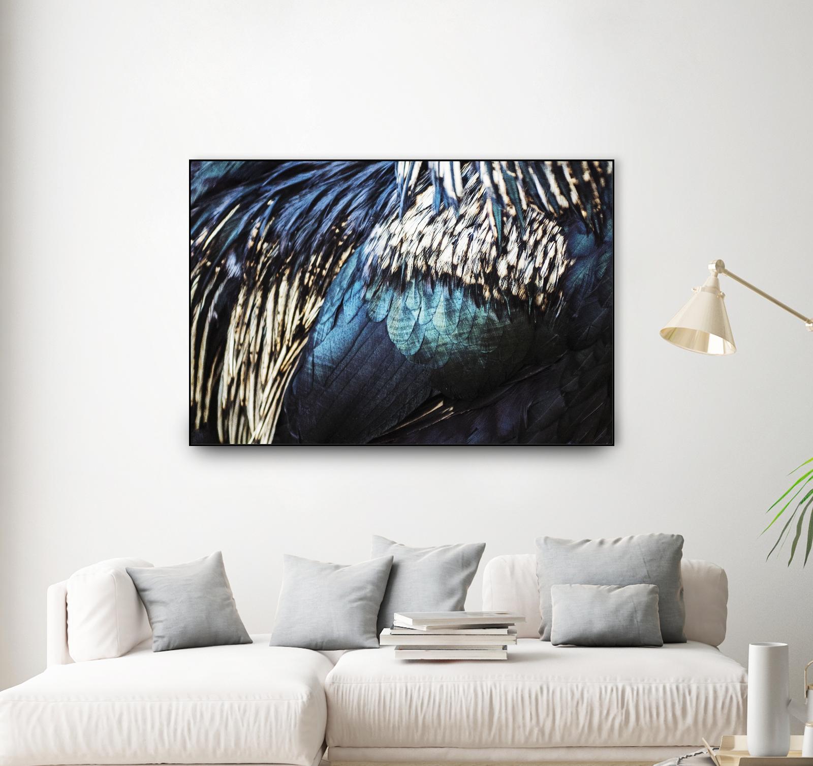 Blue feathers by Pexels on GIANT ART - white animals