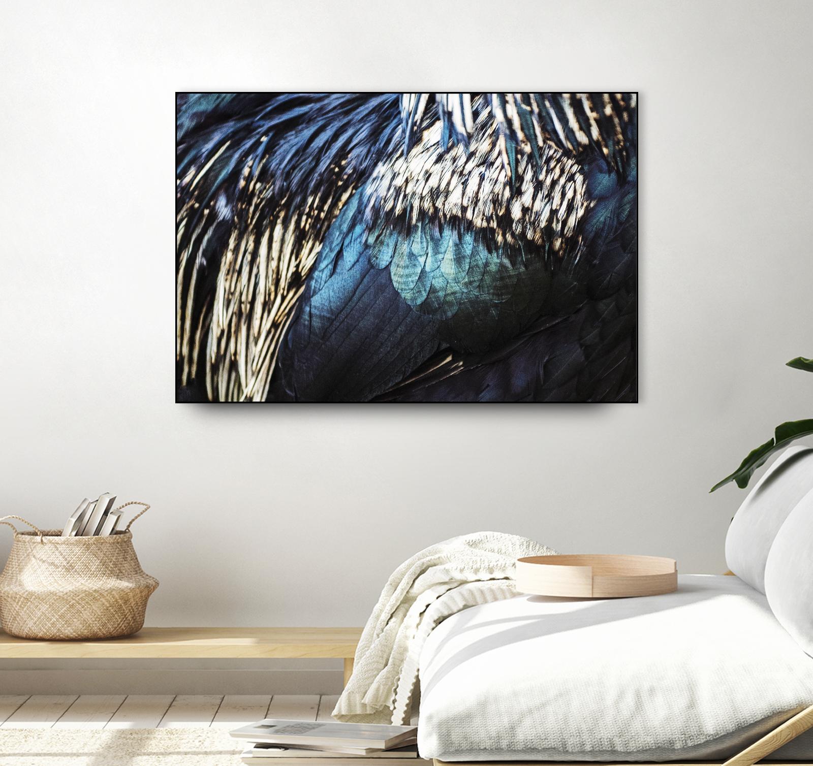 Blue feathers by Pexels on GIANT ART - white animals