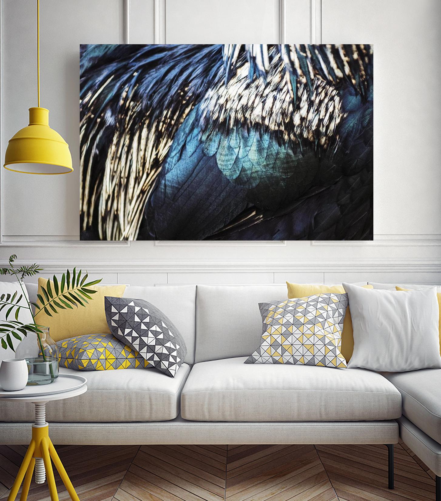 Blue feathers by Pexels on GIANT ART - white animals