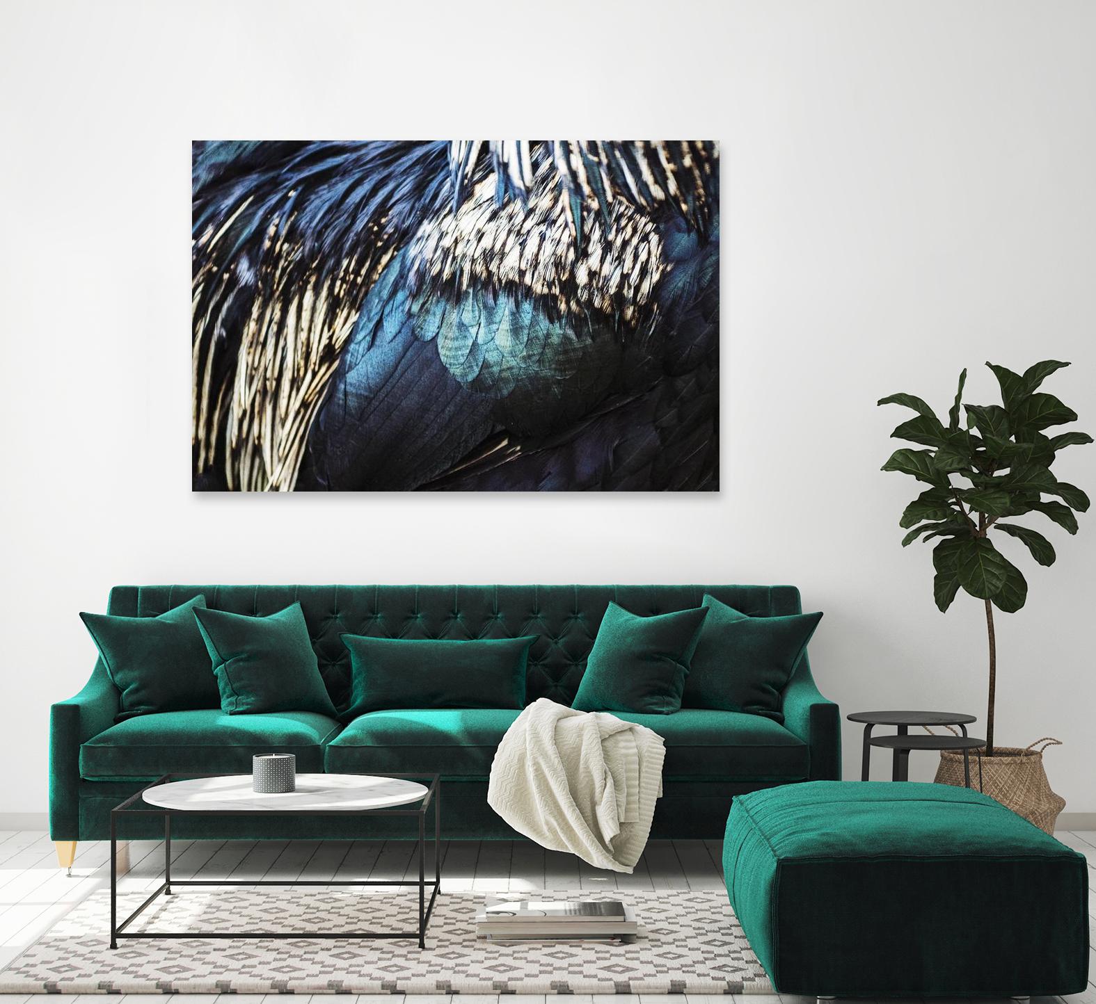 Blue feathers by Pexels on GIANT ART - white animals