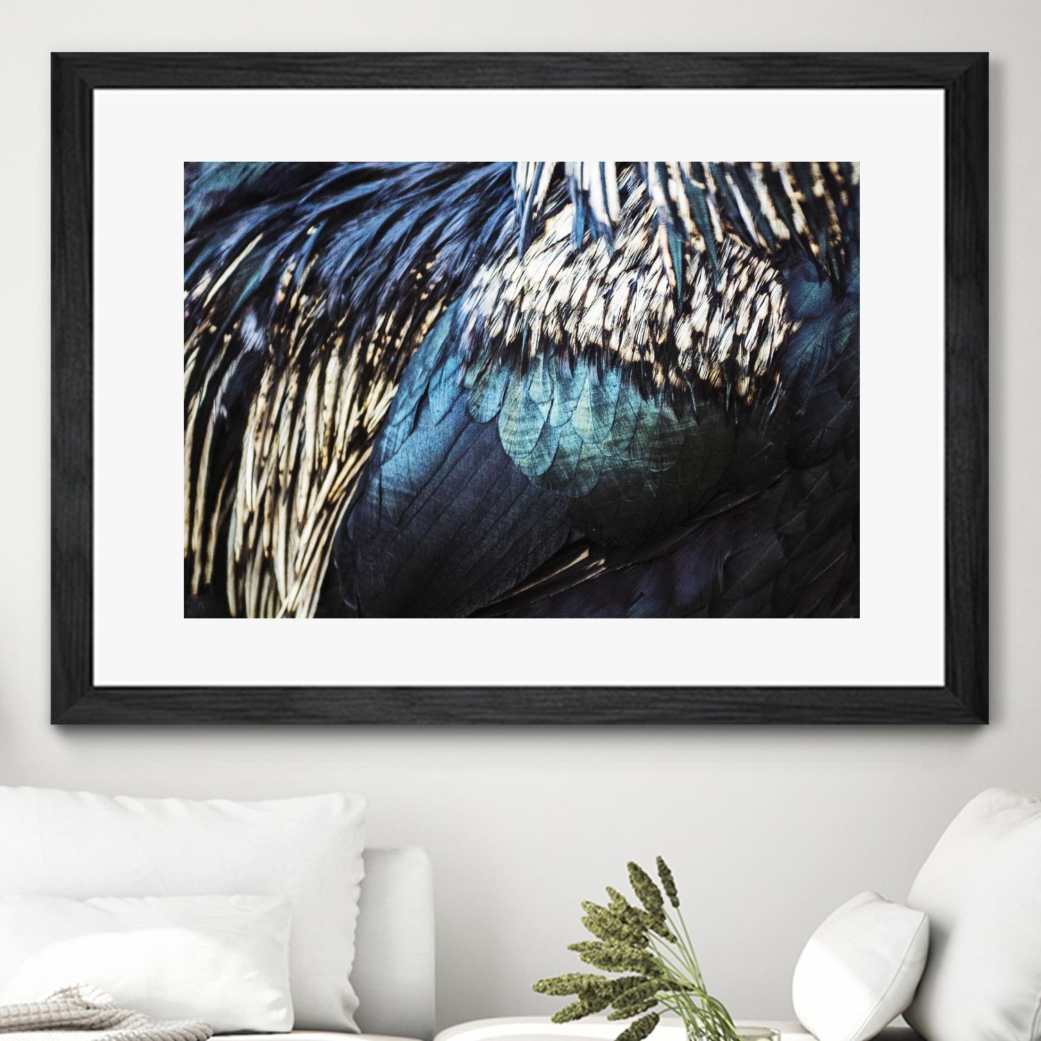 Blue feathers by Pexels on GIANT ART - white animals