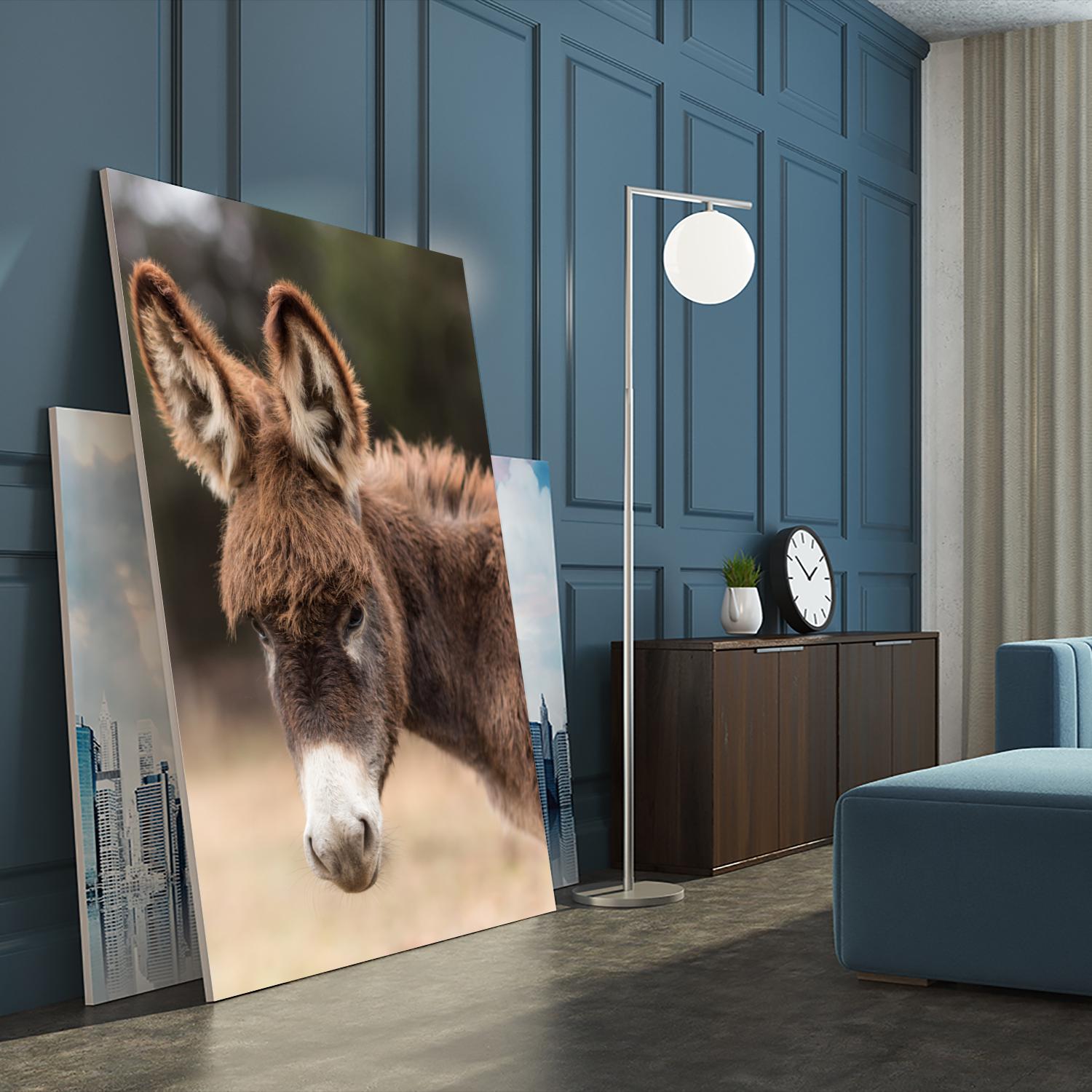 Donkey by Pexels on GIANT ART - white animals