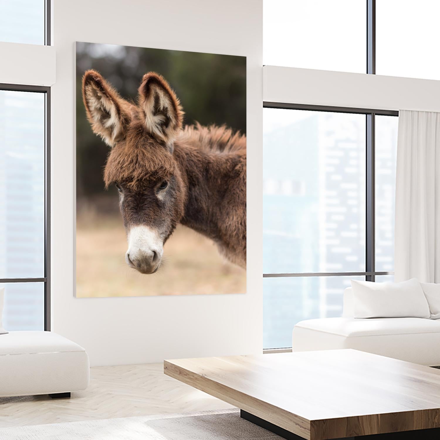 Donkey by Pexels on GIANT ART - white animals