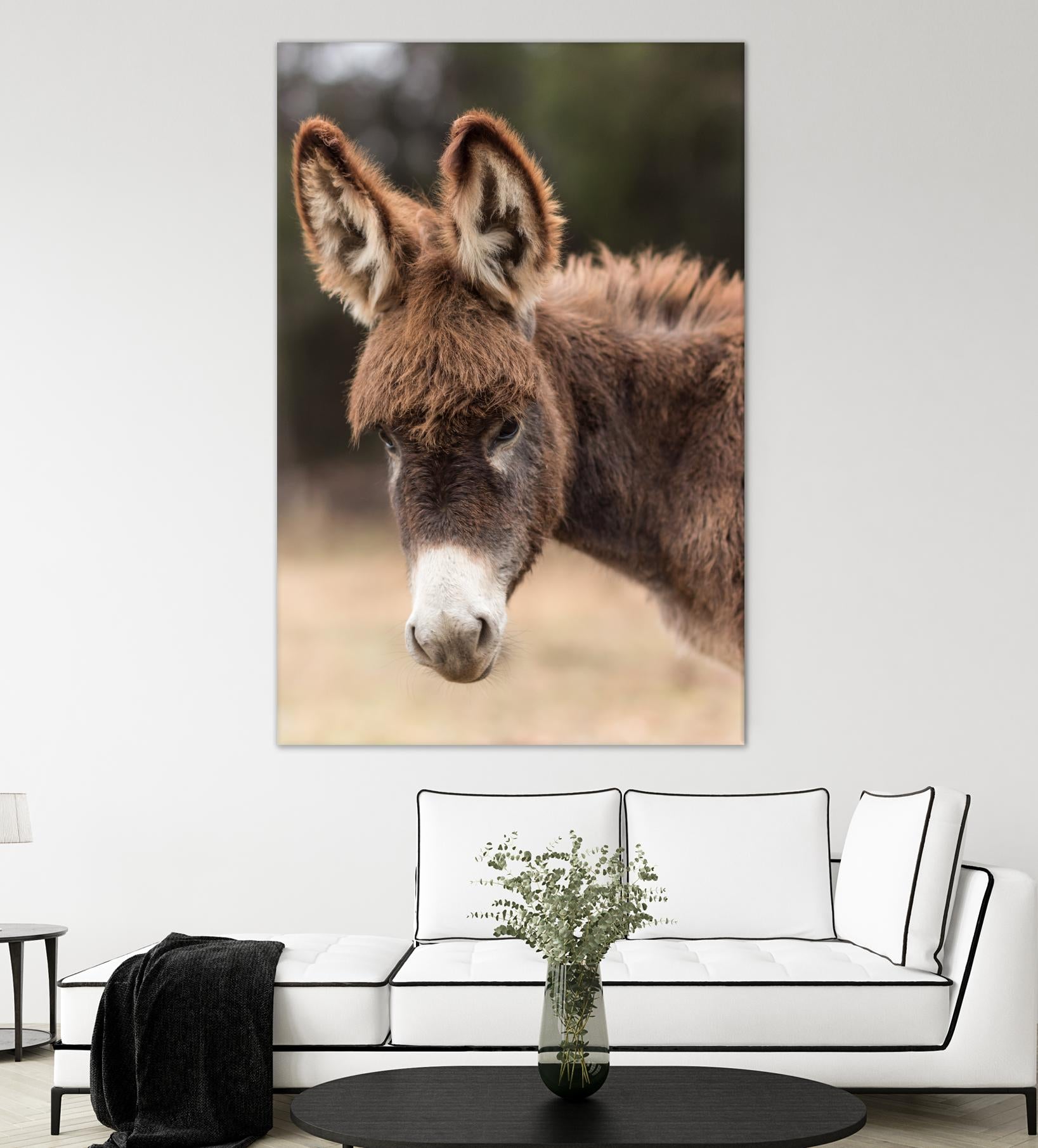 Donkey by Pexels on GIANT ART - white animals