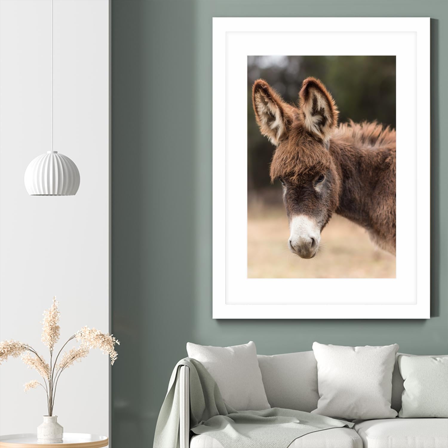 Donkey by Pexels on GIANT ART - white animals