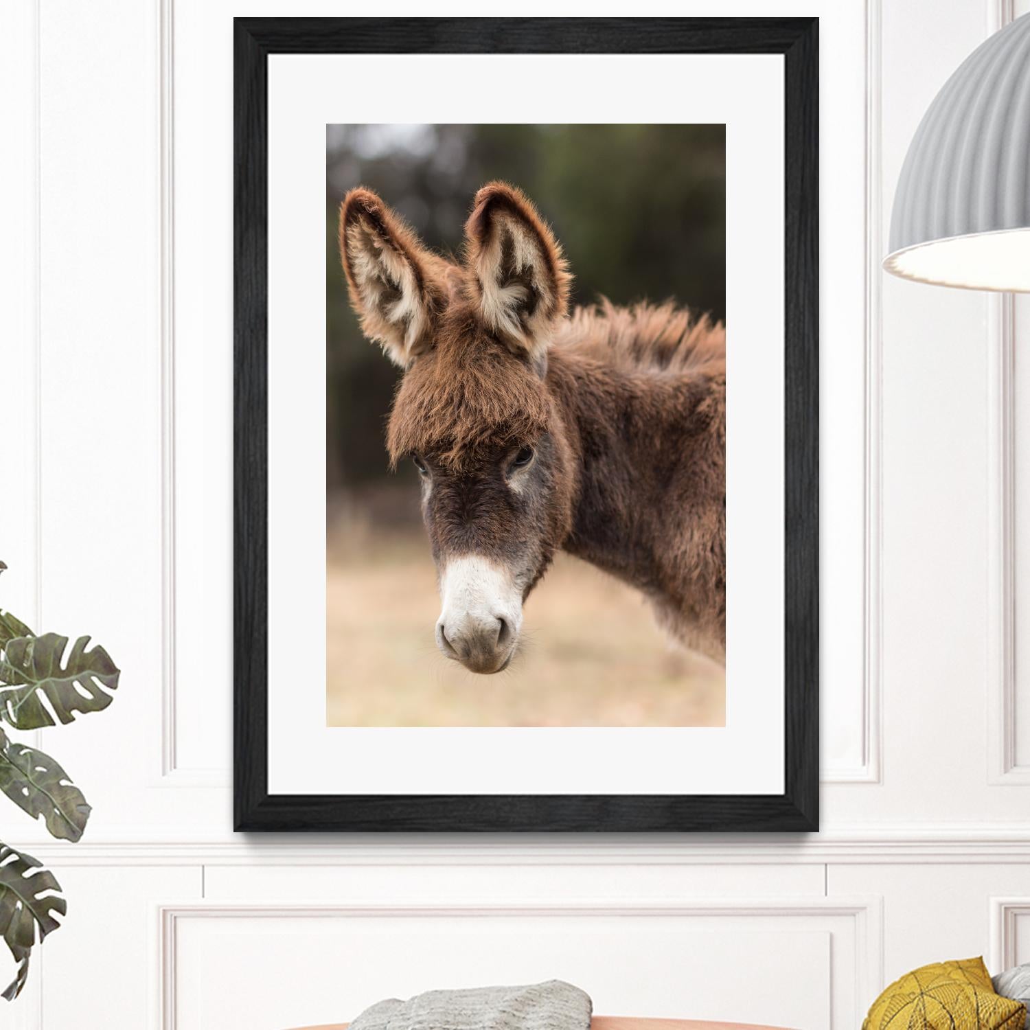 Donkey by Pexels on GIANT ART - white animals