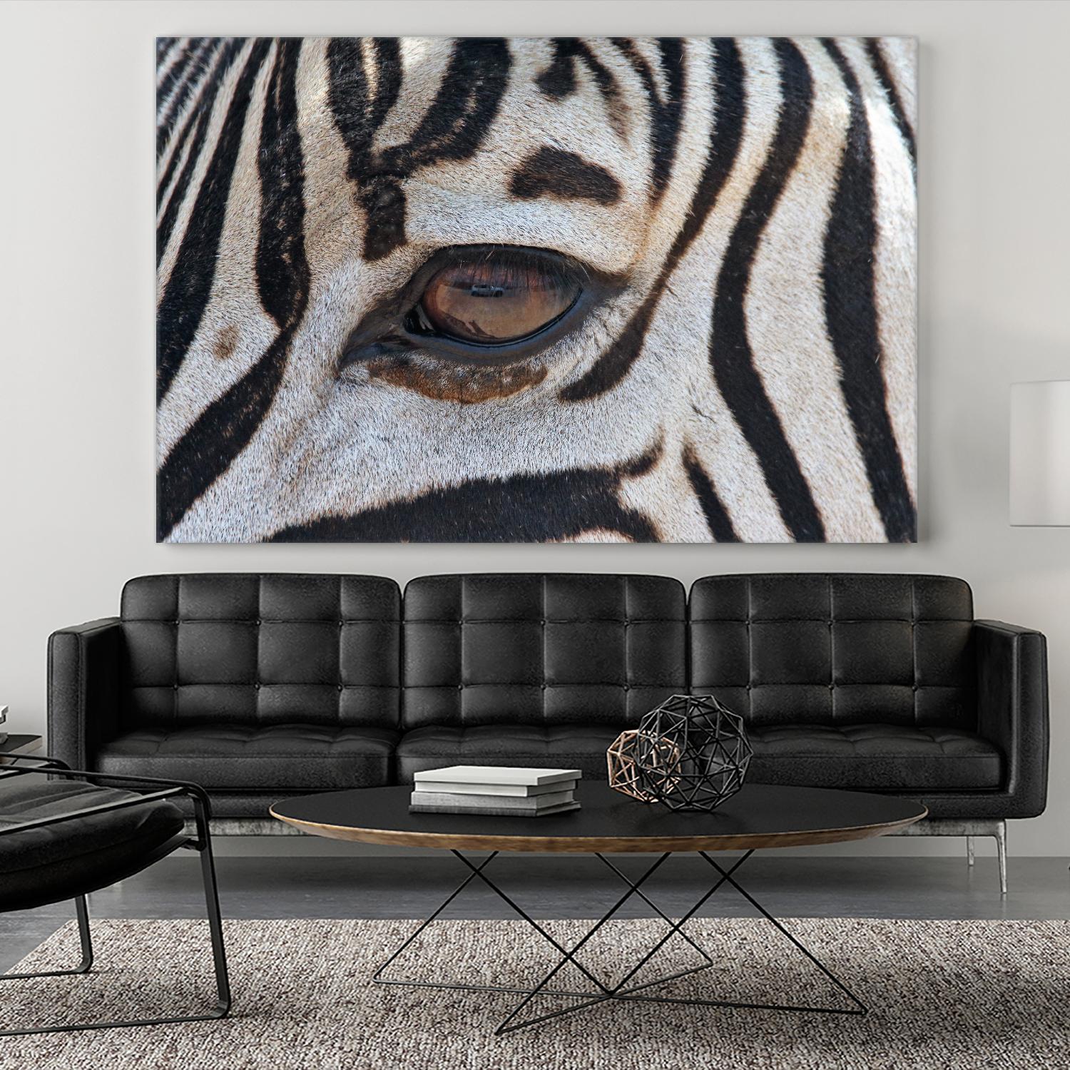 Zebra by Pexels on GIANT ART - white animals