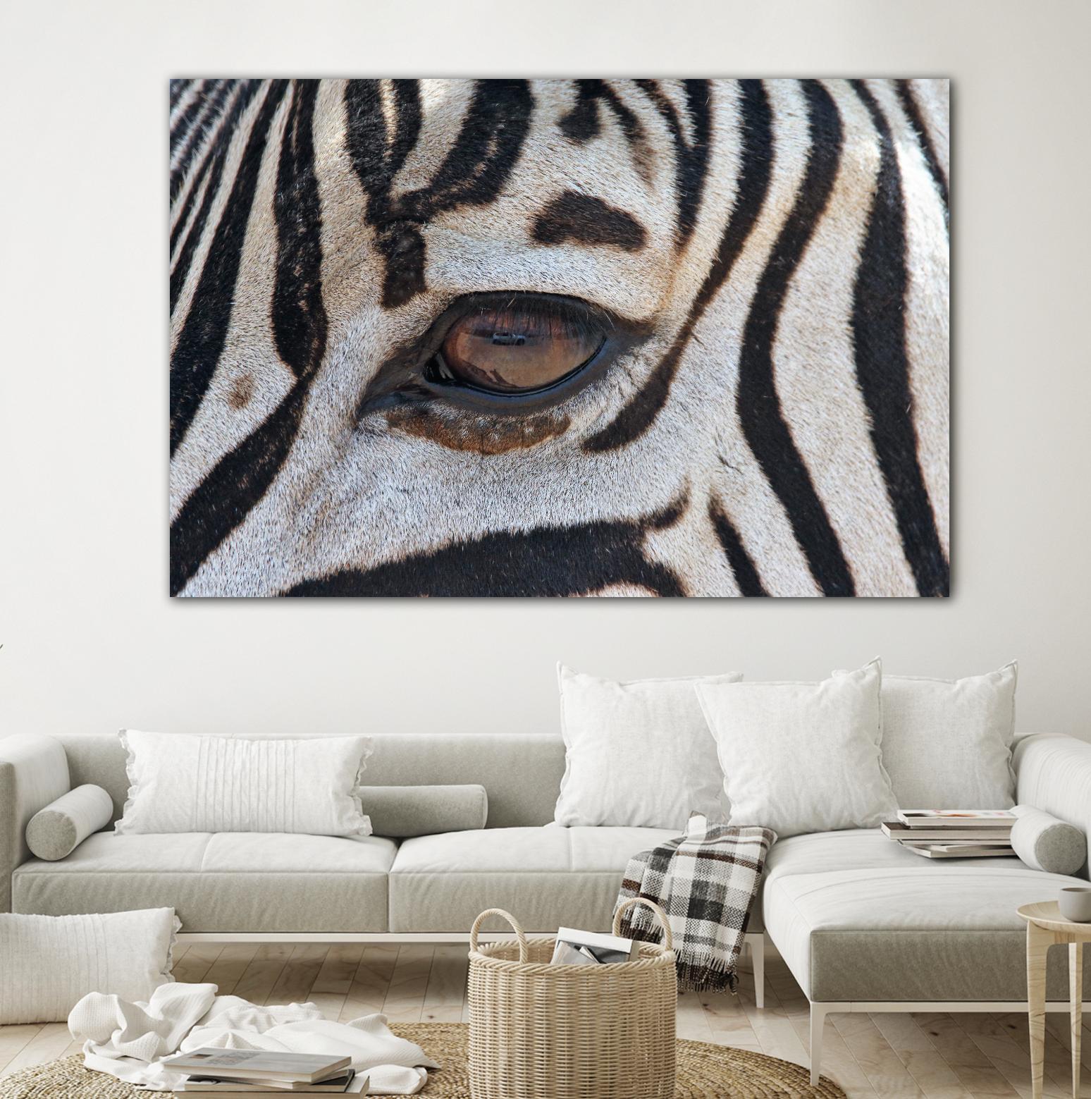Zebra by Pexels on GIANT ART - white animals