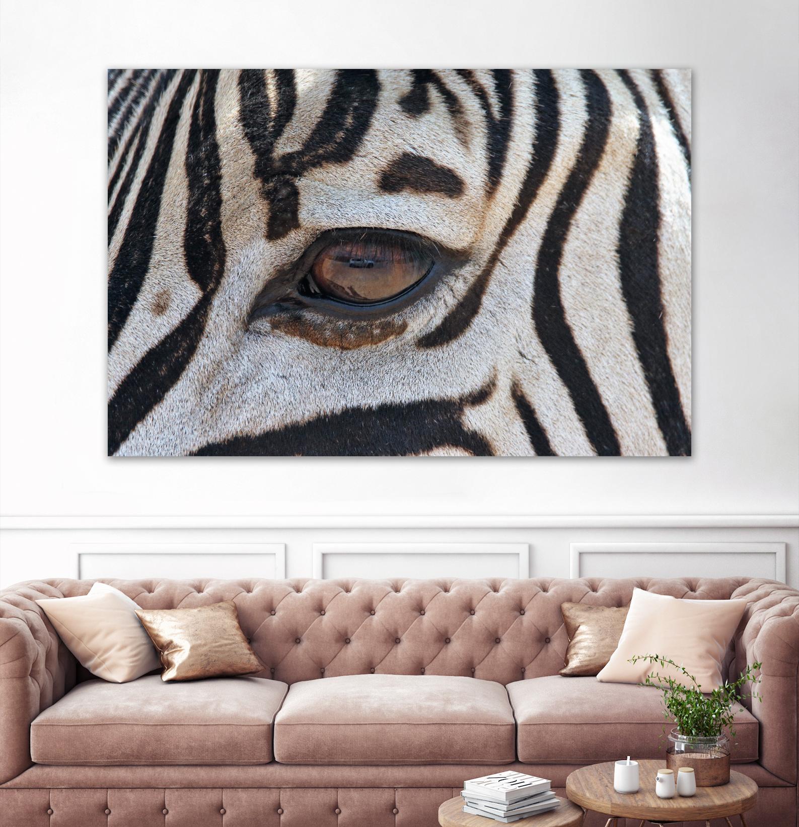 Zebra by Pexels on GIANT ART - white animals