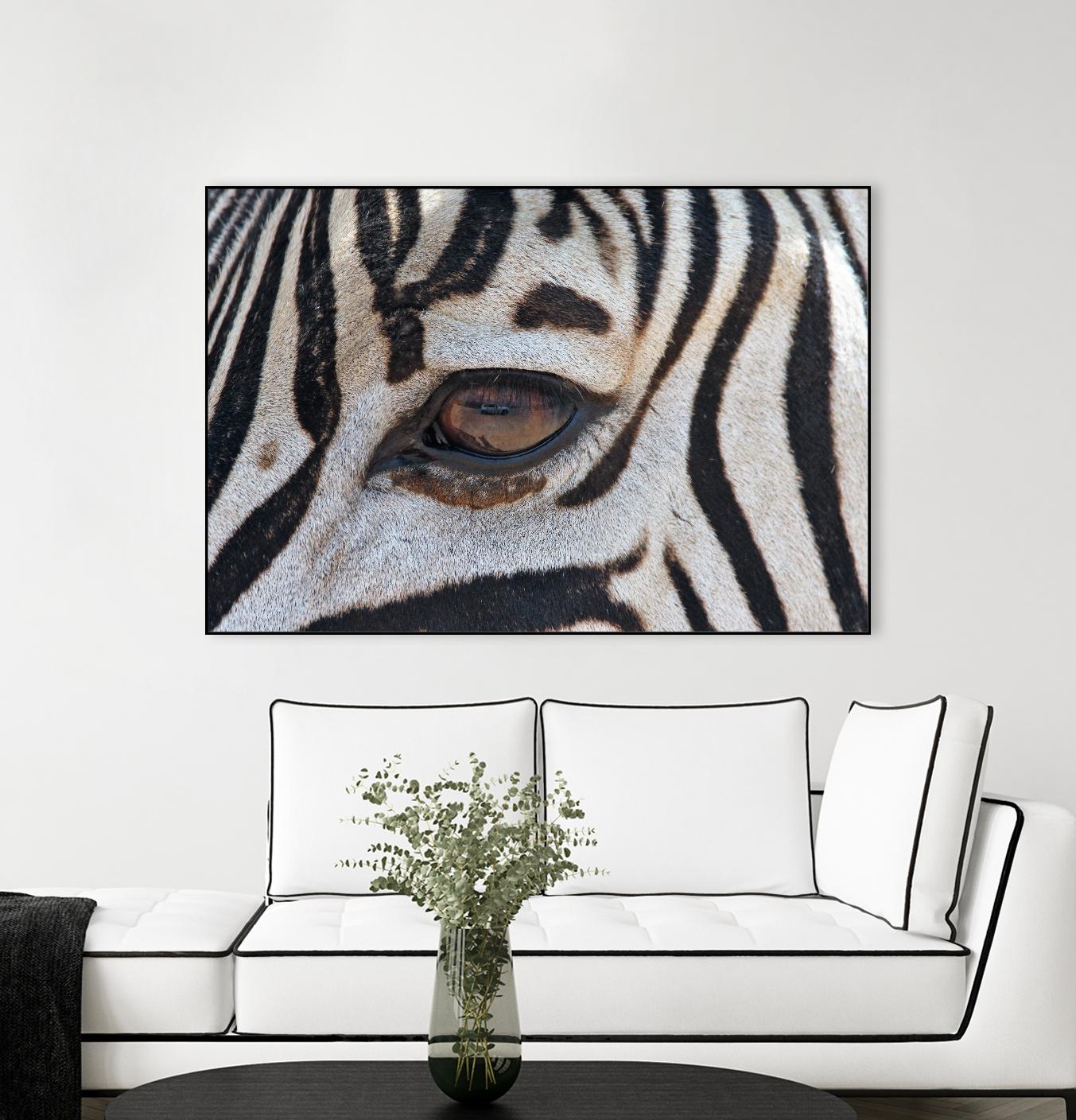Zebra by Pexels on GIANT ART - white animals
