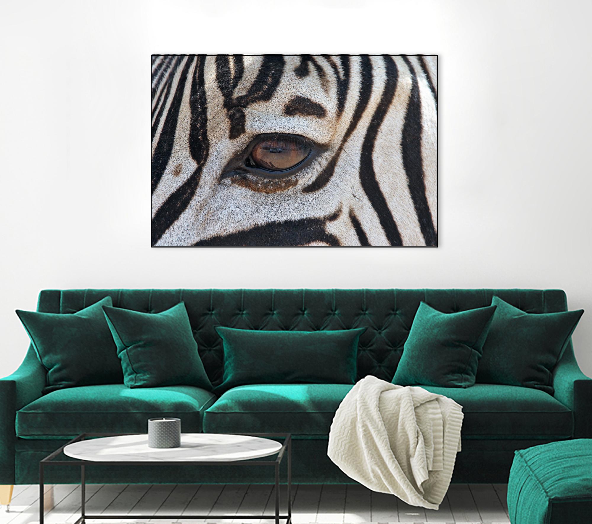 Zebra by Pexels on GIANT ART - white animals
