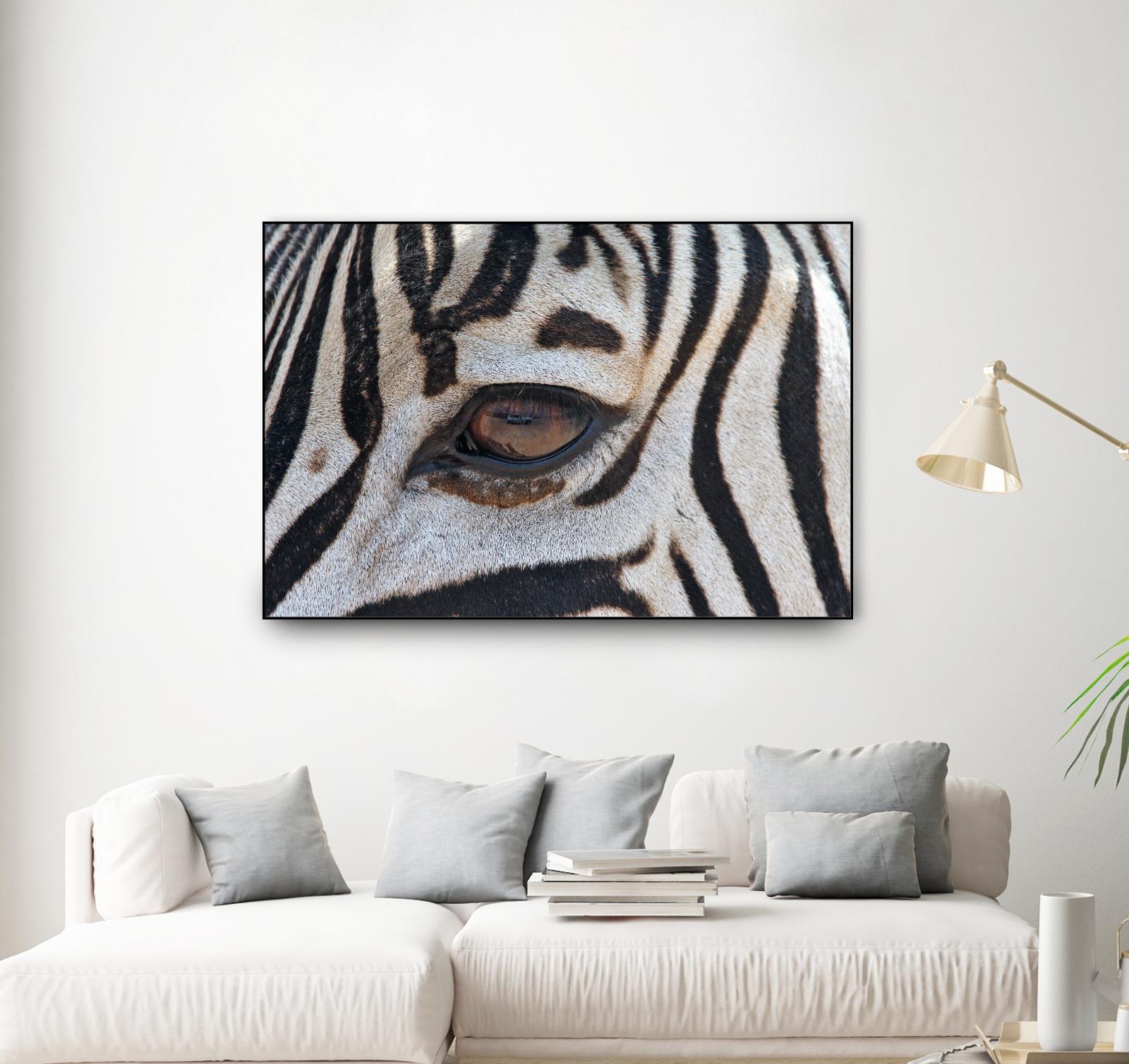 Zebra by Pexels on GIANT ART - white animals