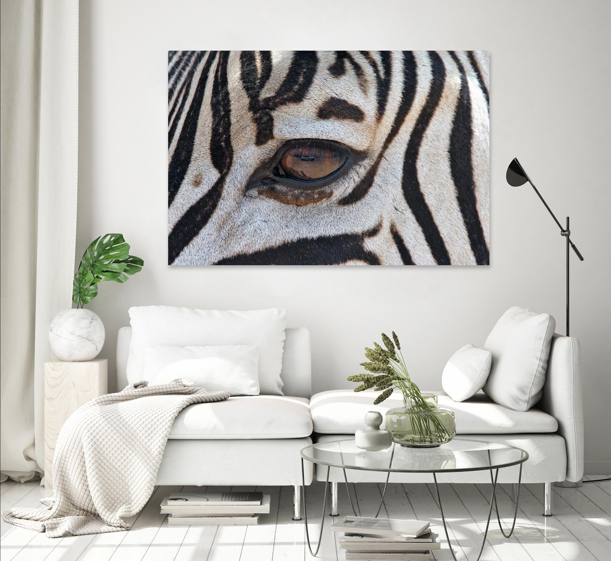Zebra by Pexels on GIANT ART - white animals