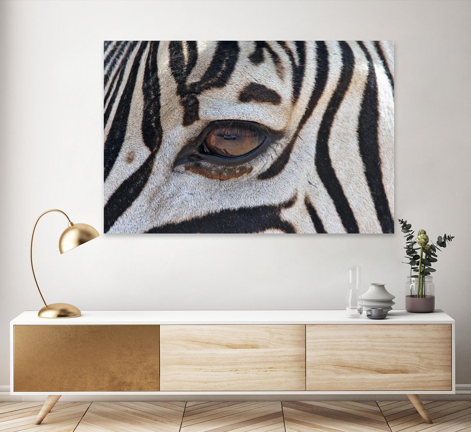 Zebra by Pexels on GIANT ART - white animals