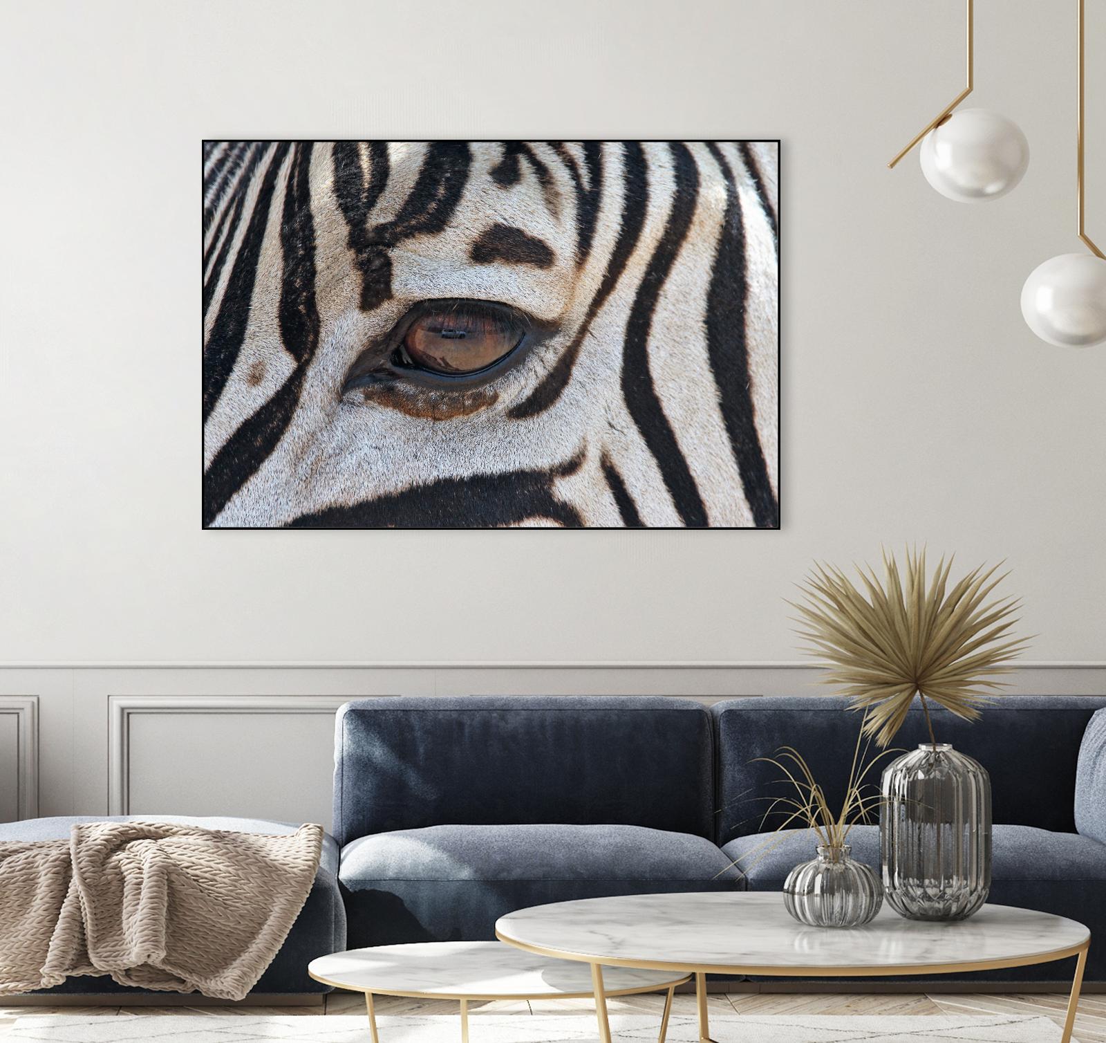 Zebra by Pexels on GIANT ART - white animals
