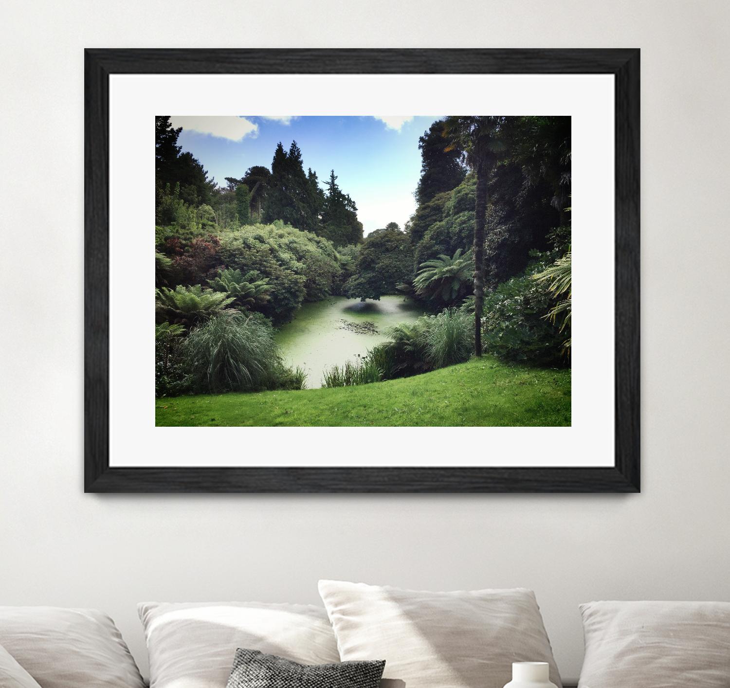 Swamp by Pexels on GIANT ART - green landscape