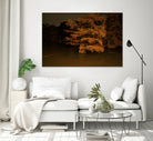 Sleepy Hollow by Linas Vaitonis on GIANT ART - black photo illustration