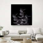Eucalyptus Leaves Black Black #1 #foliage #decor #art by Anita & Bella Jantz on GIANT ART - black photo illustration