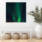 Under The Lights by Dominika Aniola on GIANT ART - green photo illustration