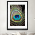 peacock feather close up macro by Wiguna Asmorohadi on GIANT ART - black vector illustration