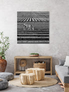 Zebra Field by Dariusz Klimczak on GIANT ART - gray photo illustration