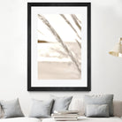 Minimalist coastal beach plants by IOANNA PAPANIKOLAOU on GIANT ART - brown photo illustration