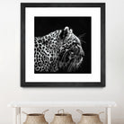 Leopard by Rainbow style on GIANT ART - black 3d art