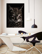 Creepy Kitten Portrait Photo Illustration by Daniel Ferreira-Leites on GIANT ART - black mixed media